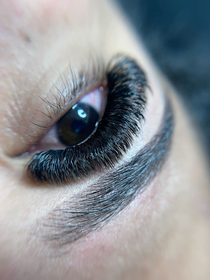 Tray of Russian Volume Lashes in D Curl with 0.05 mm thickness, featuring ultra-fine lashes designed for creating dramatic, voluminous fans with a deep, eye-opening curl.